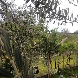 Bardolino,lago Di Garda, Appartamento,vacanze , Bardolino Italien